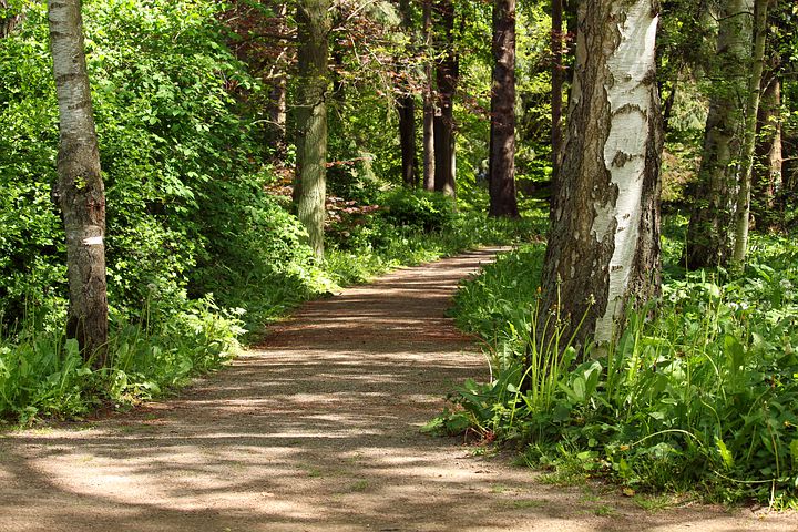 Waarom wandelen